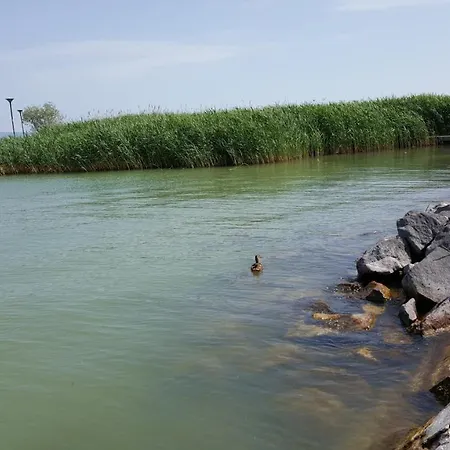 Apartamento Lelle B21